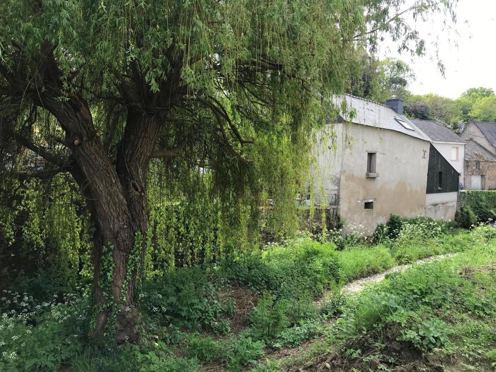 Le Moulin De La Voute Villa La Roche-Bernard Eksteriør bilde